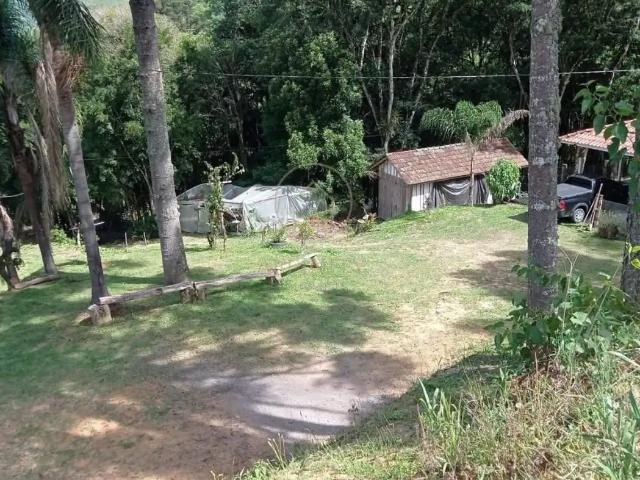 Sítio / Chácara para Venda em Mandirituba/PR Zona Rural