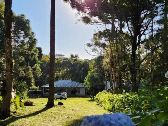 Sítio / Chácara para Venda em Mandirituba/PR Zona Rural