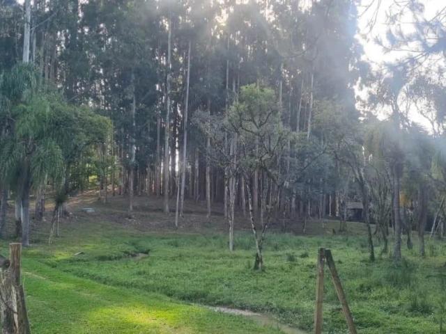 Sítio / Chácara para Venda em Mandirituba/PR Areia Branca dos Assis 2 Quartos