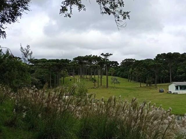 Sítio / Chácara para Venda em Mandirituba/PR Areia Branca dos Assis 2 Quartos