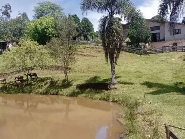 Sítio / Chácara para Venda em Mandirituba/PR Areia Branca dos Assis 4 Quartos