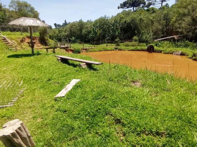 Sítio / Chácara para Venda em Mandirituba/PR Areia Branca dos Assis 4 Quartos