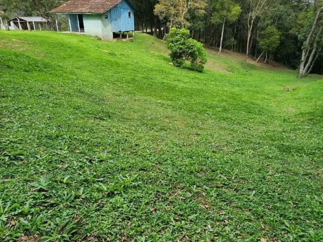 Sítio / Chácara para Venda em Mandirituba/PR Areia Branca dos Assis