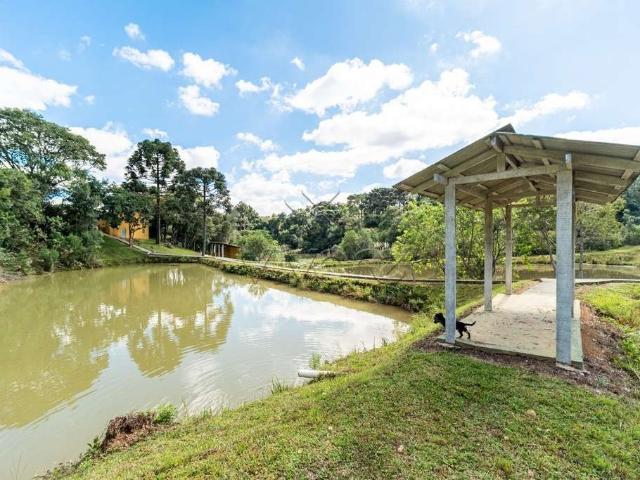 Sítio / Chácara para Venda em Mandirituba/PR Areia Branca dos Assis 7 Quartos