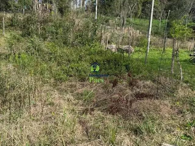 Sítio / Chácara para Venda em Mandirituba/PR Boa Vista