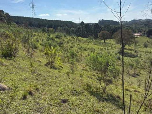 Sítio / Chácara para Venda em Mandirituba/PR Centro 1 Quartos