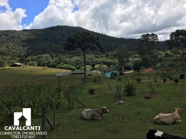 Sítio / Chácara para Venda em Mandirituba/PR Centro