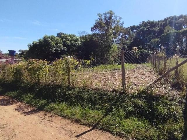 Sítio / Chácara para Venda em Mandirituba/PR Centro