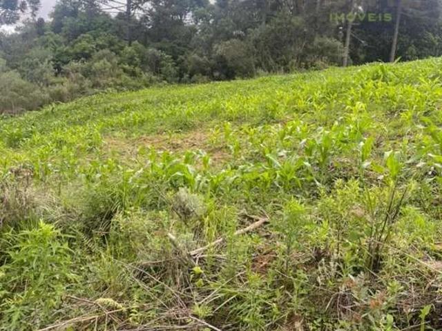 Sítio / Chácara para Venda em Mandirituba/PR Centro