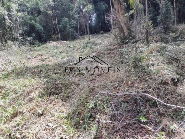 Sítio / Chácara para Venda em Mandirituba/PR Centro