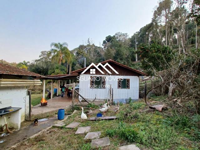 Sítio / Chácara para Venda em Mandirituba/PR Colônia Matos