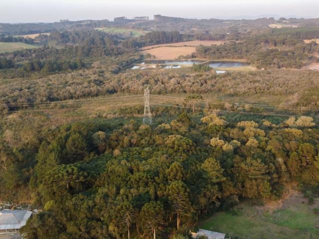 Sítio / Chácara para Venda em Mandirituba/PR Colonia Lima