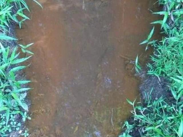 Sítio / Chácara para Venda em Mandirituba/PR Lagoa dos Ferreiras 2 Quartos
