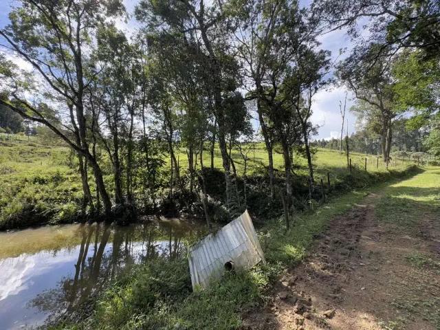 Sítio / Chácara para Venda em Mandirituba/PR Lagoa dos Ferreiras 5 Quartos