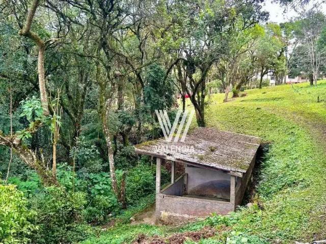 Sítio / Chácara para Venda em Mandirituba/PR Pé de Erva 4 Quartos