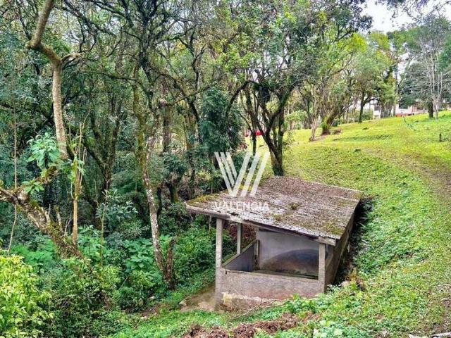 Sítio / Chácara para Venda em Mandirituba/PR Pé de Erva 4 Quartos