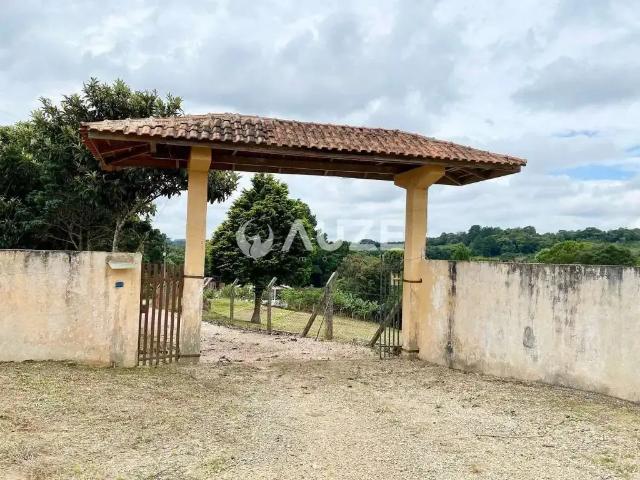Sítio / Chácara para Venda em Mandirituba/PR Quatro Pinheiros 4 Quartos