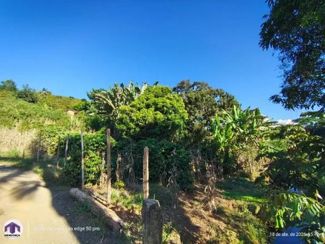 Sítio / Chácara para Venda em Manhuaçu/MG Vilanova