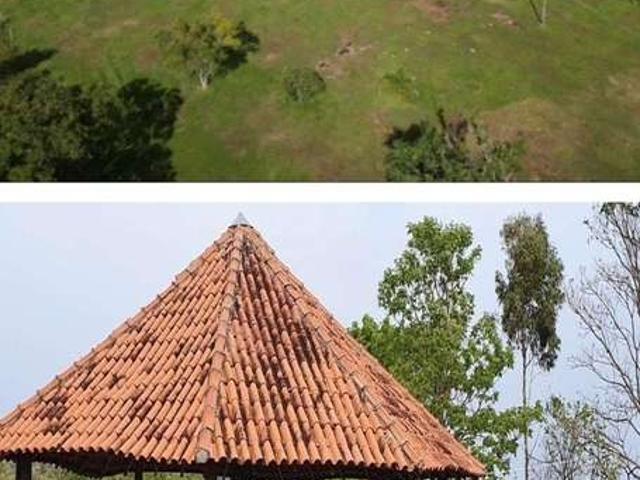 Sítio / Chácara para Venda em Maracaju/MS Zona Rural 1 Quartos