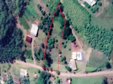 Sítio / Chácara para Venda em Maratá/RS Macega