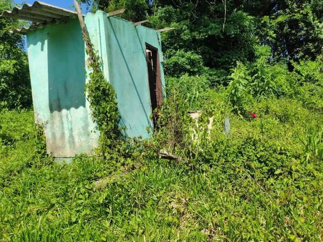 Sítio / Chácara para Venda em Maratá/RS São Pedro do Marata