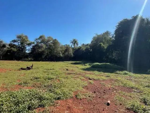 Sítio / Chácara para Venda em Marechal Cândido Rondon/PR Zona Rural