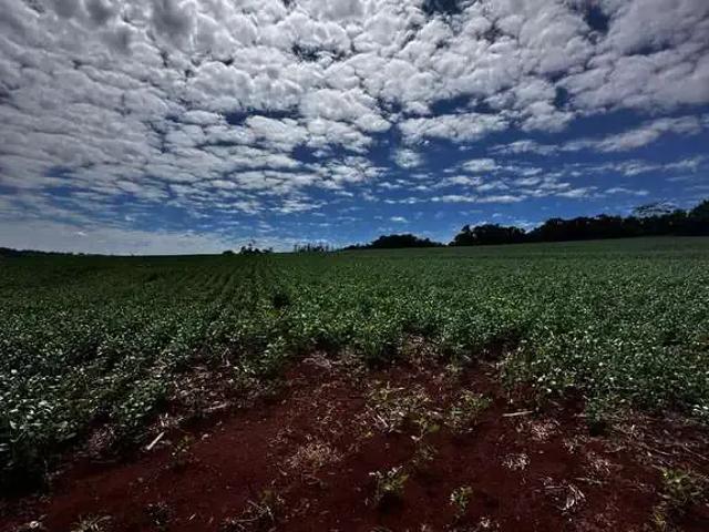 Sítio / Chácara para Venda em Marechal Cândido Rondon/PR Zona Rural