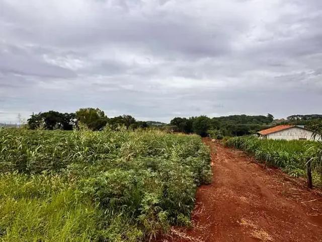 Sítio / Chácara para Venda em Marechal Cândido Rondon/PR Zona Rural