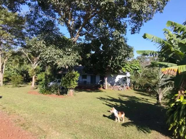 Sítio / Chácara para Venda em Marechal Cândido Rondon/PR Zona Rural