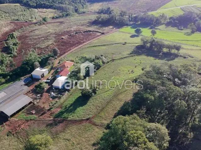 Sítio / Chácara para Venda em Marechal Cândido Rondon/PR Zona Rural