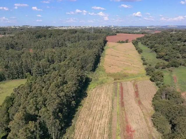 Sítio / Chácara para Venda em Marechal Cândido Rondon/PR Zona Rural