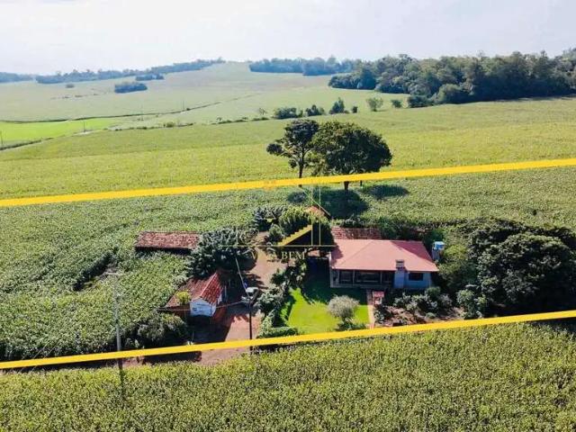 Sítio / Chácara para Venda em Marechal Cândido Rondon/PR Curvado