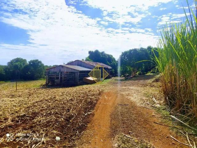 Sítio / Chácara para Venda em Marechal Cândido Rondon/PR Margarida