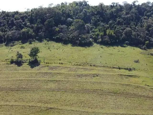 Sítio / Chácara para Venda em Marechal Cândido Rondon/PR Margarida
