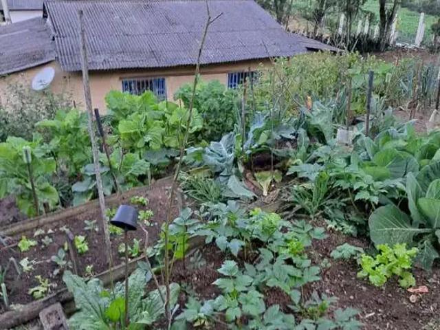 Sítio / Chácara para Venda em Marechal Floriano/ES Centro 2 Quartos