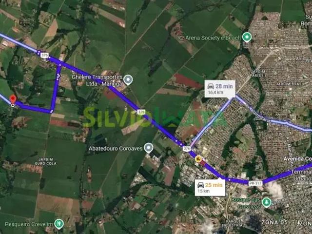 Sítio / Chácara para Venda em Maringá/PR Área Rural de Maringá
