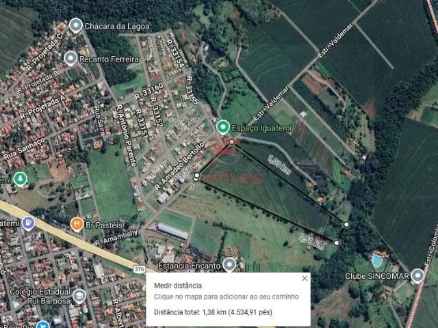 Sítio / Chácara para Venda em Maringá/PR Distrito de Iguatemi Iguatemi
