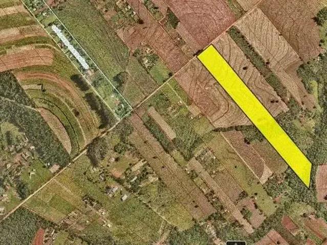Sítio / Chácara para Venda em Maringá/PR Distrito de Iguatemi Iguatemi