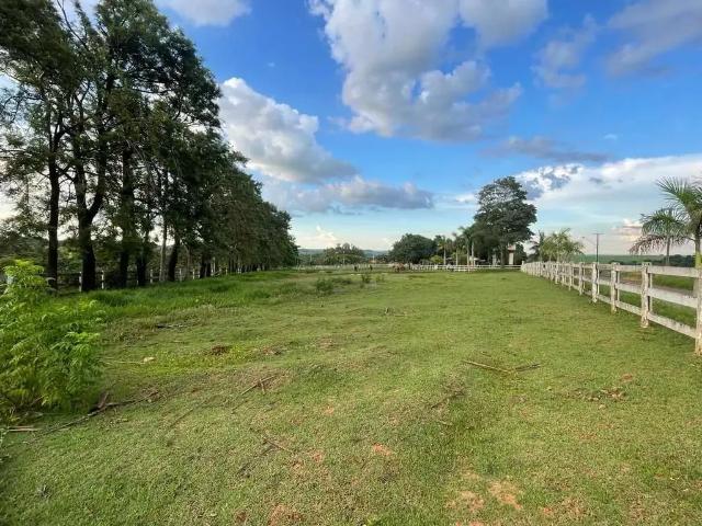 Sítio / Chácara para Venda em Maringá/PR Distrito de Iguatemi Iguatemi