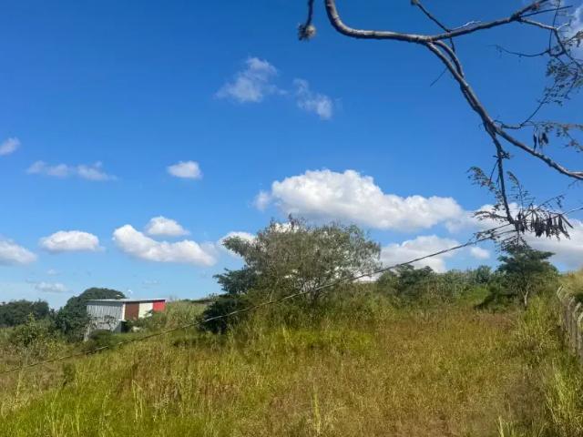Sítio / Chácara para Venda em Maringá/PR Gleba Ribeirão Sarandi