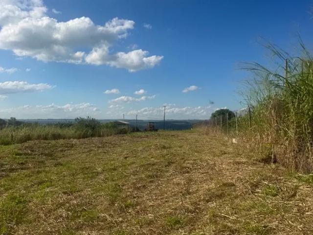 Sítio / Chácara para Venda em Maringá/PR Gleba Ribeirão Sarandi