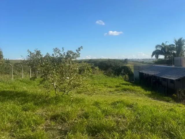 Sítio / Chácara para Venda em Maringá/PR Gleba Ribeirão Sarandi