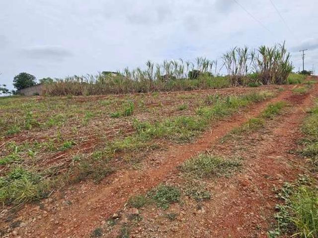 Sítio / Chácara para Venda em Maringá/PR Jardim São Domingos