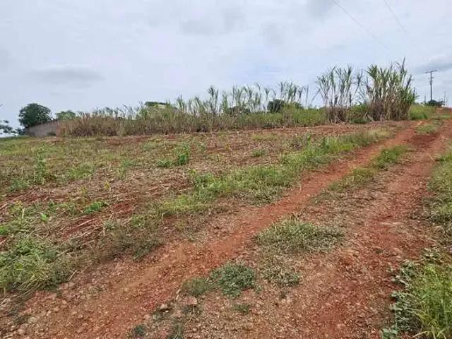 Sítio / Chácara para Venda em Maringá/PR Jardim São Domingos