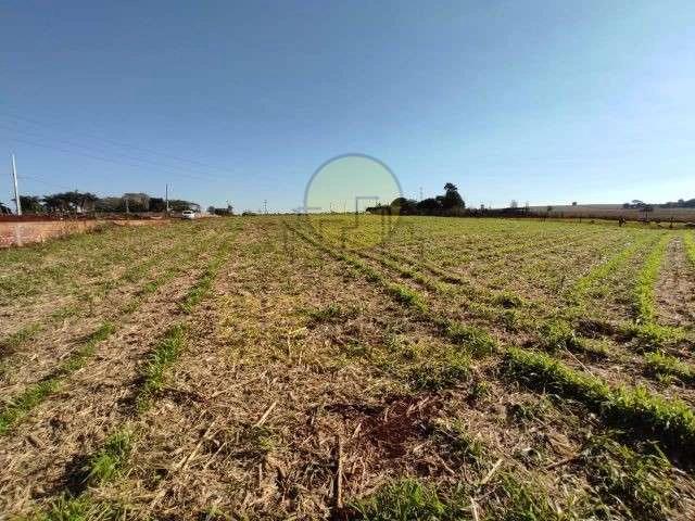 Sítio / Chácara para Venda em Maringá/PR Km 130