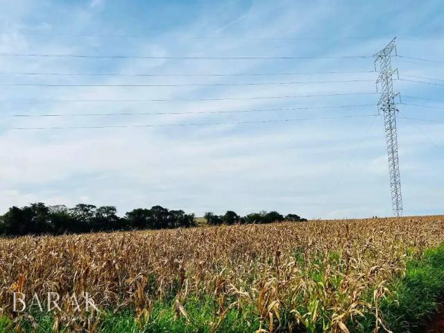 Sítio / Chácara para Venda em Maringá/PR Parque Industrial I