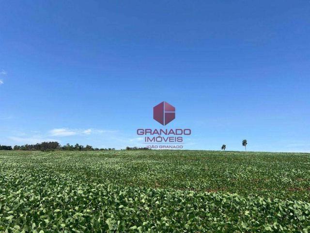 Sítio / Chácara para Venda em Maringá/PR Zona Rural