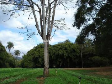 Sítio / Chácara para Venda em Mário Campos/MG Campo Verde 1 Quartos