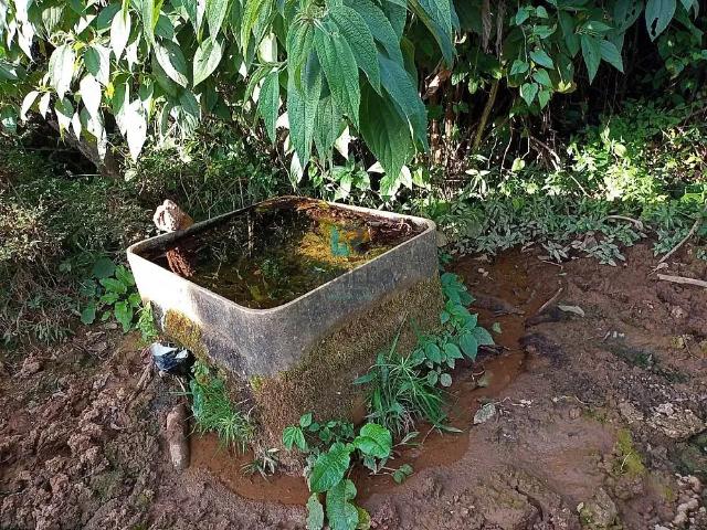 Sítio / Chácara para Venda em Maria da Fé/MG Pelado