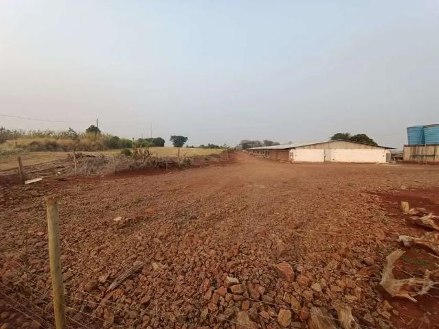 Sítio / Chácara para Venda em Marialva/PR Área Rural